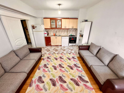 WhatsApp Image 2026-02-17 at 11.19.17 (1).jpeg